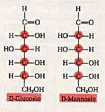 ESOSI Gli esosi sono i carboidrati con sei atomi di carbonio Sono i più comuni di tutti i