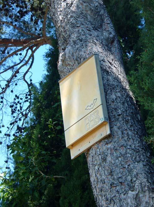 Esito del monitoraggio Nel corso dei tre controlli svolti nei mesi di aprile, giugno e settembre, si è controllata la presenza di pipistrelli nelle bat box del Parco.