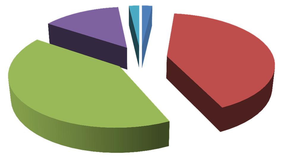 PREVISIONI 2011 Previsioni entrate totali 2011 14% 2% 2% 41% MOLTO PIU DI PIU IN LINEA MENO MOLTO