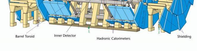 Orientamento di genere in scienza LHC e le