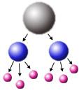 che tutti i quark o leptoni