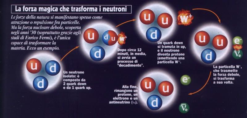 La forza debole: Decadimento del neutrone L'interazione debole non contribuisce tanto alla coesione della materia quanto alla sua trasformazione.