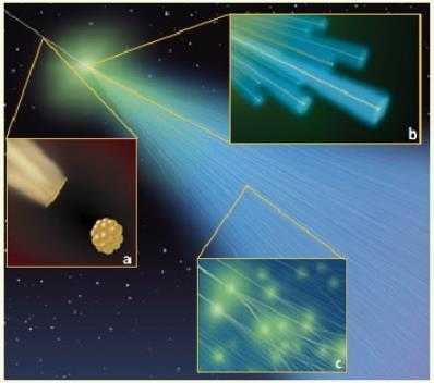 sciami estesi (EAS, Extensive Air Shower) Quando attraversa l atmosfera terrestre a) il raggio cosmico (particella