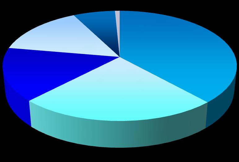 Motivazione principale del trasferimento all estero MAGISTRALI BIENNALI E A CICLO UNICO 2008 Motivi personali 15% Studio 16% Su richiesta di