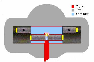 α / β PMT Guardia Vial