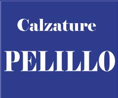 La squadra è forte negli allenatori, nuovi, capaci e motivatissimi (Luca Caracristi e Mauro