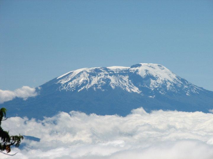 Sbrigate le formalità di ingresso saliremo per il sentiero nella foresta fino a raggiungere i Mandara Huts (2700 m.) sempre Monte Kilimanjaro, il tetto d'africa accompagnati da guida professionale.