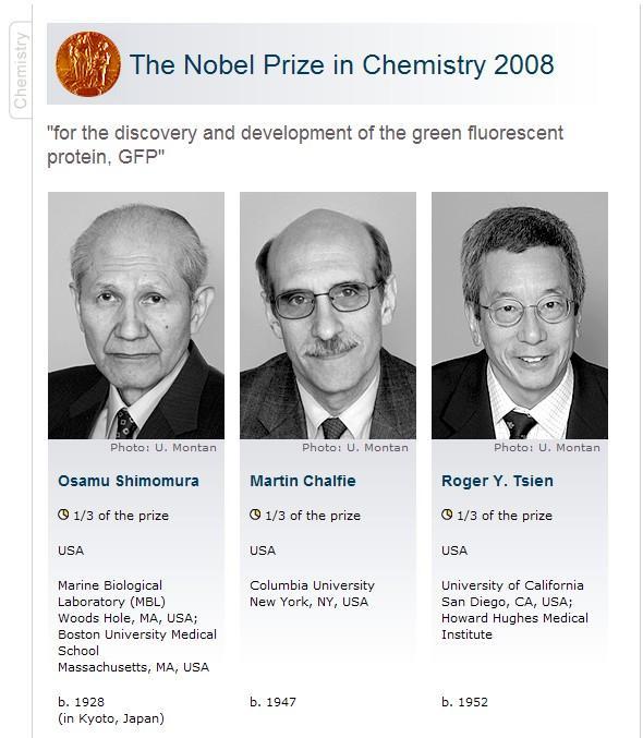 La scoperta della GFP valse il premio Nobel per la chimica 2008.