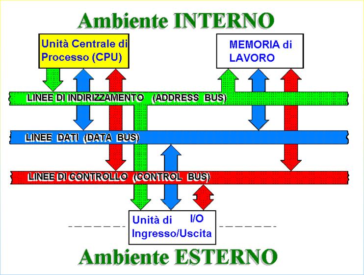 Corsi Laurea Triennali e Odontoiatria Pag.