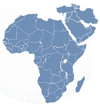 I Progetti (2) Centro-Sud America Africa e Medio Oriente Iran: tender