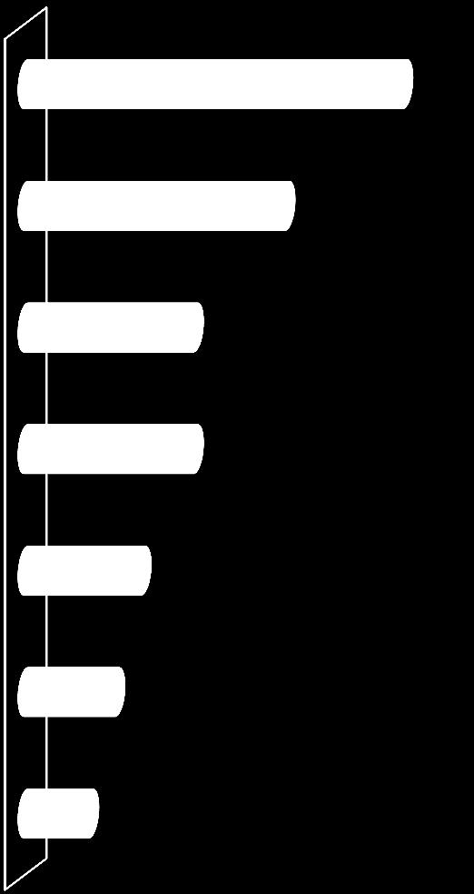 Aumento delle spese delle famiglie per tasse/imposte Concorrenza degli outlet Concorrenza della grande distribuzione/grandi superfici Difficoltà di accesso all'area commerciale del centro storico 5%