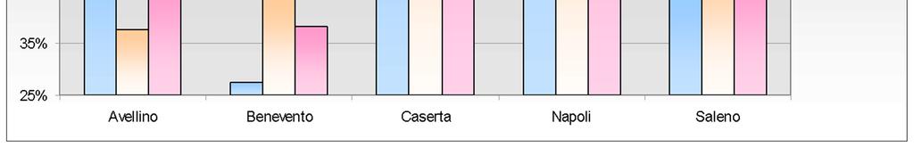 cintura alla guida di autovetture per provincia e tipo di strada