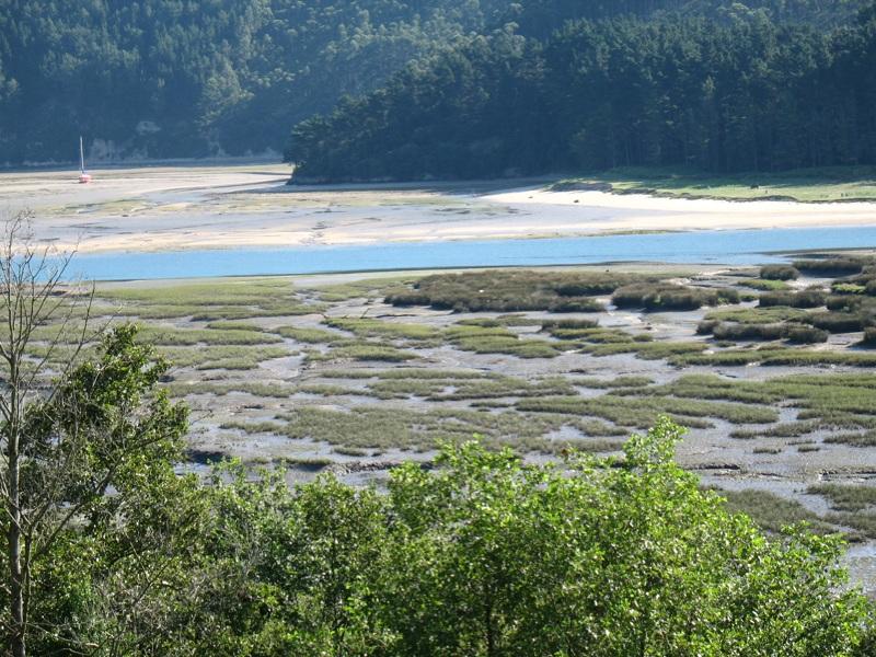 ...formano i sedimenti, fatti di pietre ed elementi organici