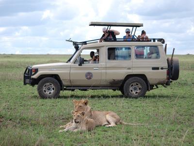 19-ago-2018 e 20-ago-2018 SERENGETI Karatu Ngorongoro Serengeti 3 ore di transfer Programma: Dopo colazione partenza per il Ngorongoro Conservation Area, proseguiamo attraversando gli altipiani del