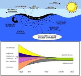 Il modello di Oil Spill è un modulo dispersivo di particelle lagrangiane in mare (Particle Tracking) che forniscono le informazioni sulle traiettorie e