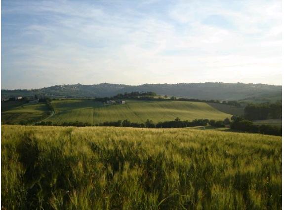 sistema agricolo come fondamento