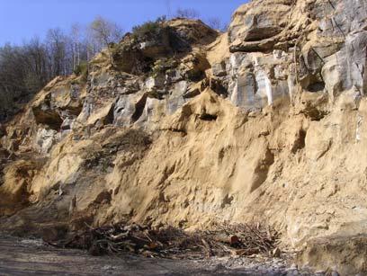Per la descrizione dettagliata dell assetto geologico dell area di cava e, più in generale, del giacimento di arenaria, si faccia riferimento alla nota Aggiornamento sulla prospezione
