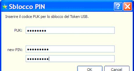 Cambio/Sblocco PIN Cambio/Sblocco PIN Singolo Utente Impostare nei campi previsti del form il PUK e successivamente inserire i nuovi valori del PIN che si intende