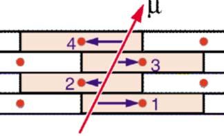 CMS CALORIMETRO ADRONICO IN AVANTI Cathode