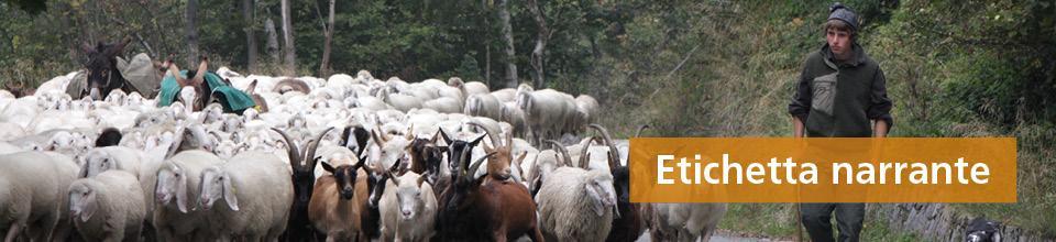 Etichette narranti Accanto alle indicazioni previste dalla legge, l Etichetta Narrante fornisce informazioni precise sui Produttori, sulle loro Aziende, sulle varietà vegetali o le razze animali