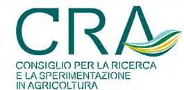 Casale Monferrato, 27 giugno 2014 Misure di sostegno alla pioppicoltura nei prossimi PSR 2014-2020 Stato attuale e prospettive