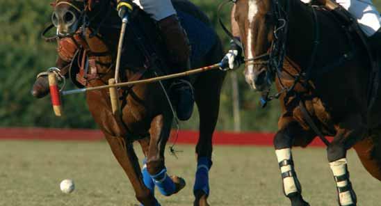 Non è un caso che la Polo Cup on the Beach si svolga proprio a Rimini.