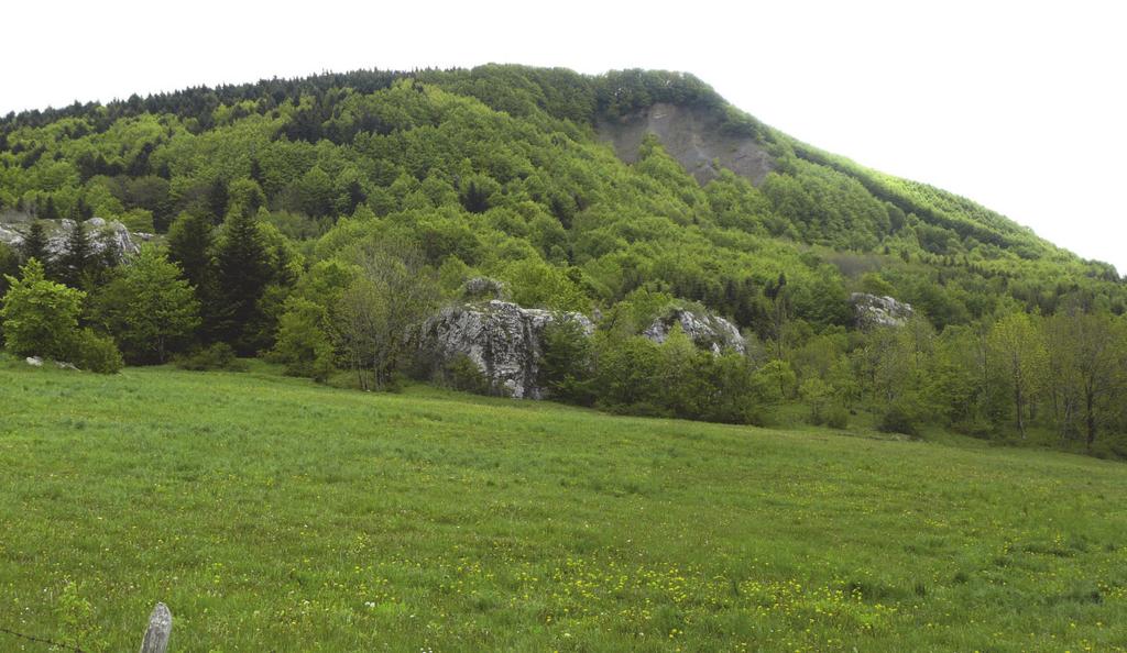 I. BENE PAESAGGISTICO DESCRIZIONE 2 di 7 PROVVEDIMENTO: RUBRICA [E TITOLO CONCISO] Dichiarazione di notevole interesse pubblico di una zona in comune di Verghereto [Monte Fumaiolo e Ripa della Moia]