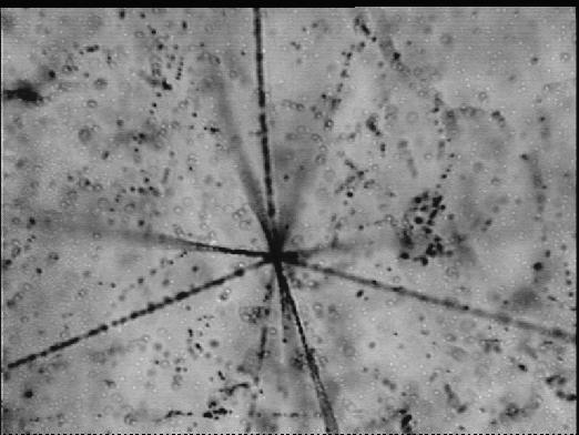 In questo scenario viene progettato l'esperimento CHORUS: Microscope event view 150 µm In