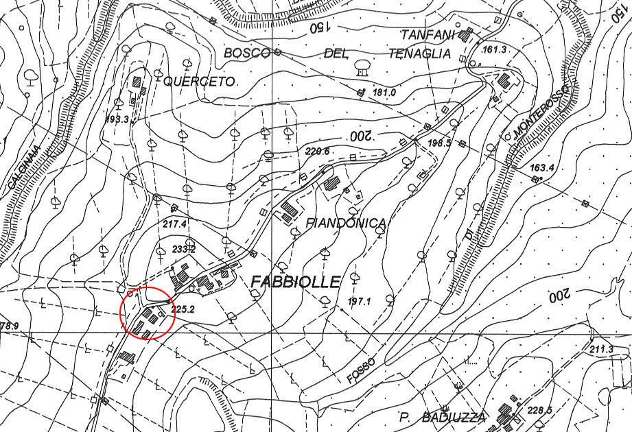 Intorno agricolo paesaggistico bosco oliveto pascolo vigneto/orti seminativo semplice seminativo arborato incolto/abbandonato 8.