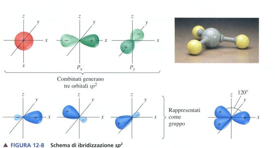 Ibridizzazionesp 2 degli orbitali atomici: i composti del boro Il boro ha quattro orbitali e solo tre elettroni nel guscio di valenza.