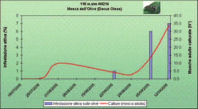 CNO MOSCA 15-09-2006 10:49 Pagina 11 grafico che renda immediatamente visibile il variare, nel tempo, del grado di infestazione presente in ciascuna sottozona oggetto del monitoraggio.
