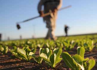 Le novità 2017 A fine dicembre 2016 il Ministero per le Politiche Agricole ha approvato il nuovo Piano Assicurativo Agricolo Nazionale. Di fatto si tratta di una riconferma del precedente anno 2016.