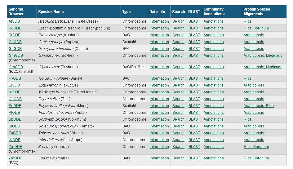 Piante a genoma sequenziato Da: Plant Genome DataBase (http://www.plantgdb.