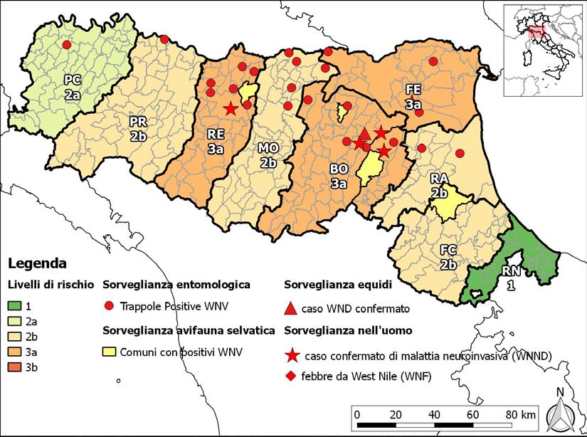 1. Situazione Epidemiologica West Nile virus in Emilia-Romagna Le attività di sorveglianza sull avifauna selvatica ed entomologica sono cominciate rispettivamente nel mese di maggio e giugno.