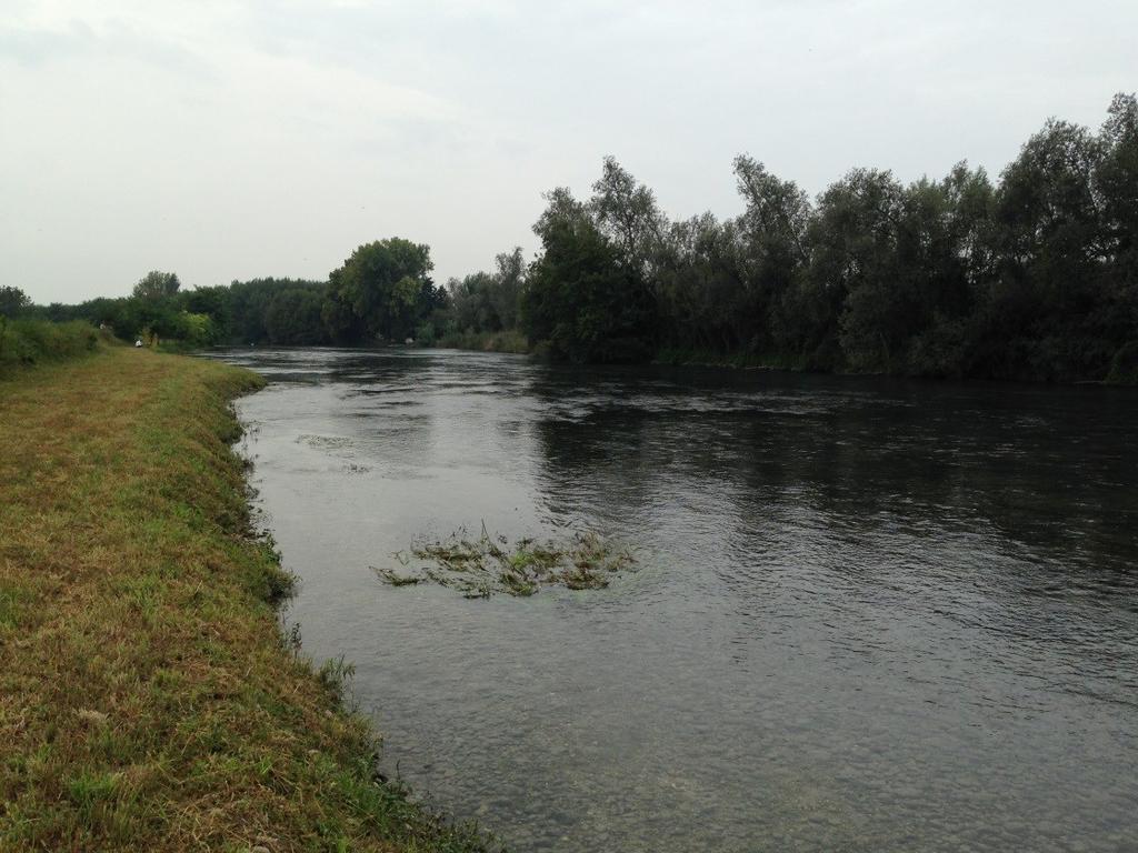 il ponte stradale Figura 5: Argine di