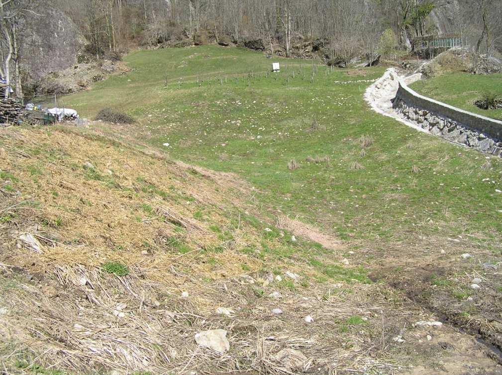 DESCRIZIONE DELL OPERA Interventi torrente Pezzoldo Realizzazione di una vascadi contenimento della colata detritica adiacente al torrente e dotata anch essa di briglia