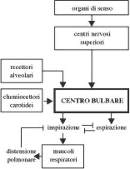 CONTROLLO