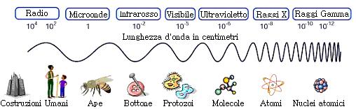 DISA Dipartimento a) di Scienze Agrarie e Ambientali A) Lo spettro