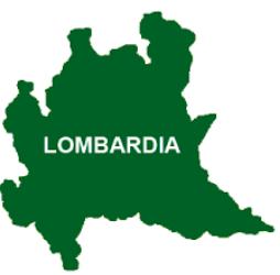 Qualche numero.. Ogni anno in Lombardia (abitanti 9.995.000 al 30-05-14) sono attesi: 45.