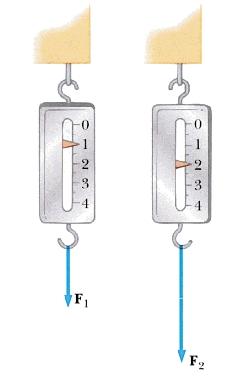 Misura statica delle forze Lo strumento utilizzato per misurare le forze è il dinamometro.
