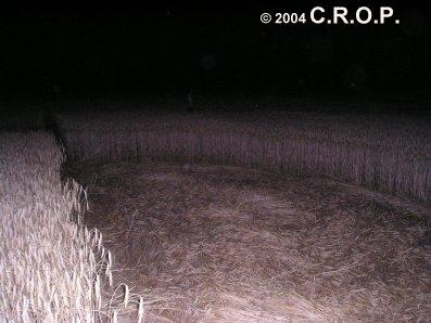 Non ho potuto fare a meno di fare il giro di tutto il campo e notare un piccolo corridoio (una ventina di cm) che dal lato arrivava direttamente al crop nel mezzo del campo.