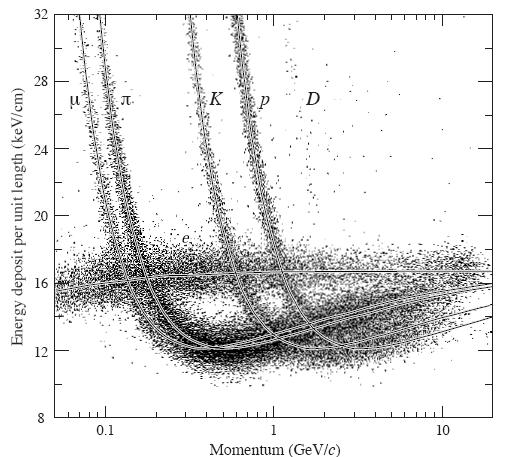 Identificazione di Particelle in una TPC Misurando l ampiezza del segnale, e quindi l energia depositata, è possibile distinguere i vari