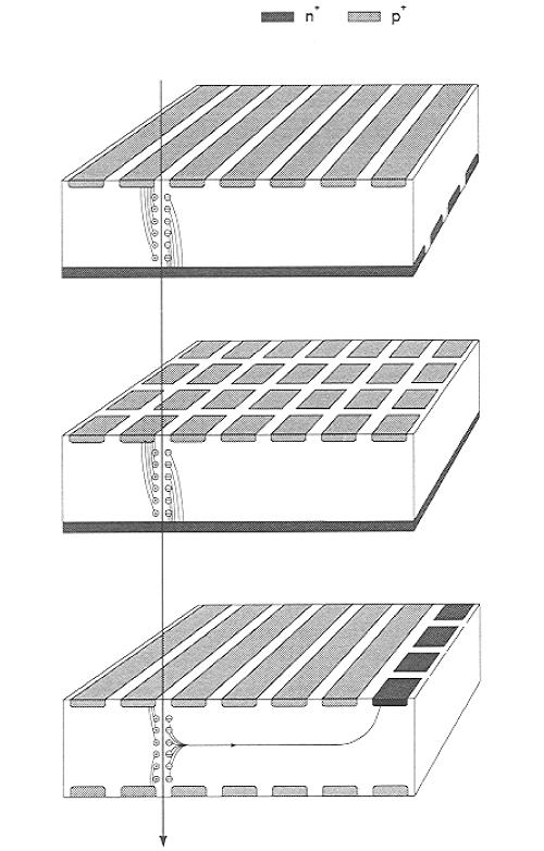 Rivelatori a Semiconduttore Vengono sviluppati principalmente come rivelatori di posizione (in particolare di vertice). I tre tipi principali sono a strip, a pad (o pixel) e a drift.