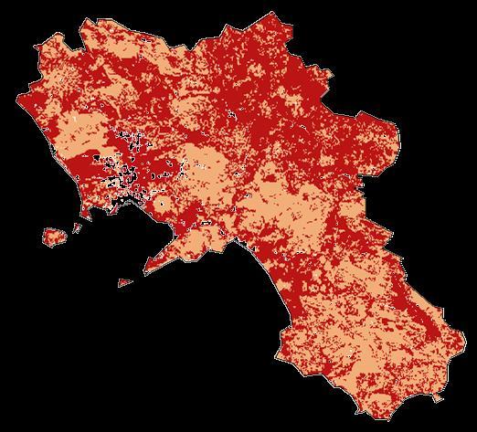 4. Attività svolte (aree test Campania) Mappe di qualità della vegetazione (VQI) a copertura regionale e scala nazionale per gli anni 90-00- 06 VQI 1990