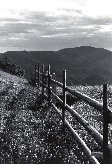 dieci azioni per il paesaggio rurale del trentino documenti 02 7 Il documento è preceduto dalla formulazione dei principi assunti a riferimento per l attività dell Osservatorio sul tema dell