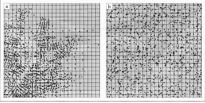 Analisi dei quadranti L Analisi dei quadranti è uno strumento per l analisi del pattern (distribuzione di una variabile sul territorio) E largamente usato in campo biologico per lo studio delle