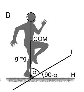 Modello Teorico ES= tan(90 - ) Equivalent Slope