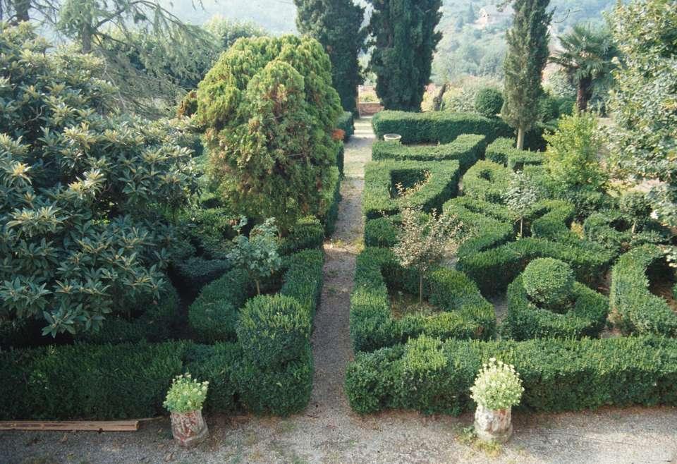 RUOLO ED IMPORTANZA DEL BOSSO NEL GIARDINO