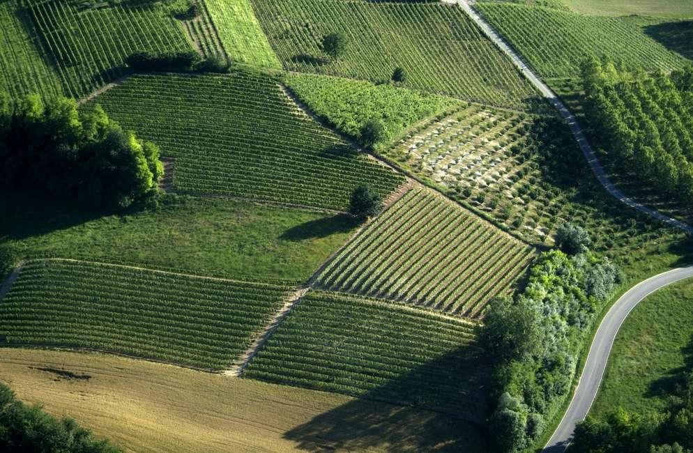 Paesaggi viticoli del sud Piemonte PATRIMONIO