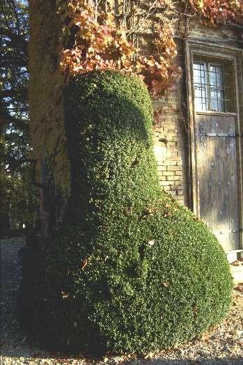 Giardino dei Conti Nuvoli